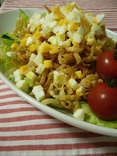 餃子の皮で!居酒屋風パリパリサラダ♪-レシピのメイン写真