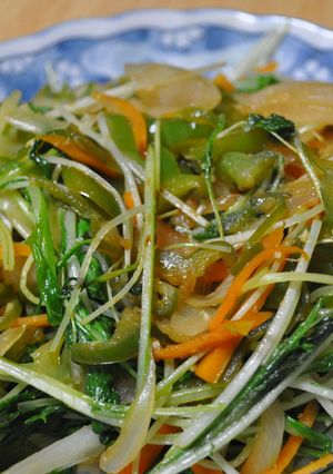 野菜盛りだくさんウスターソース炒め-レシピのメイン写真