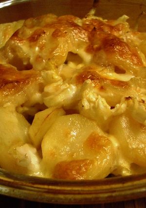 味噌バター風味グラタン-レシピのメイン写真