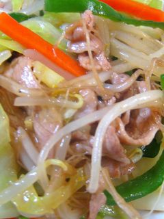 肉と野菜の中華いため-レシピのメイン写真