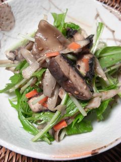 きのこと牛蒡のサラダ-レシピのメイン写真