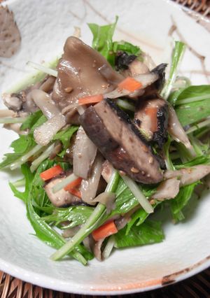 きのこと牛蒡のサラダ-レシピのメイン写真