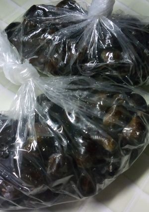 しじみを美味しく鍛える方法-レシピのメイン写真