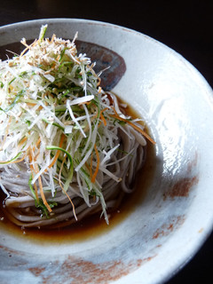 千切り野菜たっぷりのお蕎麦-レシピのメイン写真