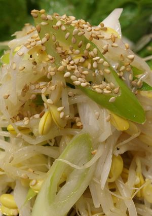長ネギと豆もやしのナムル-レシピのメイン写真