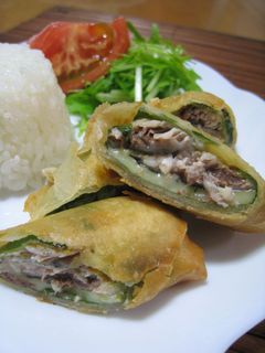 ◇さんまとチーズの春巻き◇-レシピのメイン写真