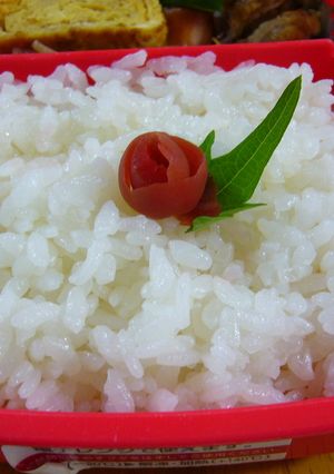 お弁当に! ☆薔薇☆梅ちゃん♪-レシピのメイン写真