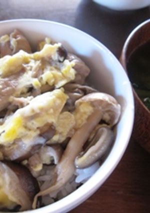 森の親子丼-レシピのメイン写真