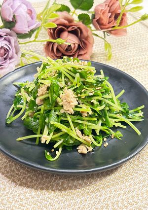 豆苗とツナの無限レンジおひたし-レシピのメイン写真