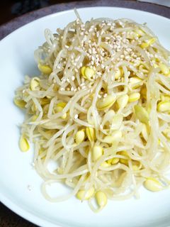 豆もやしのナムル ♪コンナムル♪-レシピのメイン写真