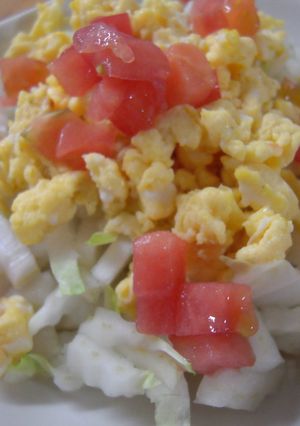 白菜の簡単サラダ-レシピのメイン写真