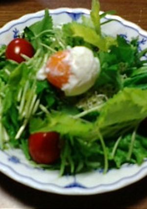 レタスと三つ葉のサラダ-レシピのメイン写真
