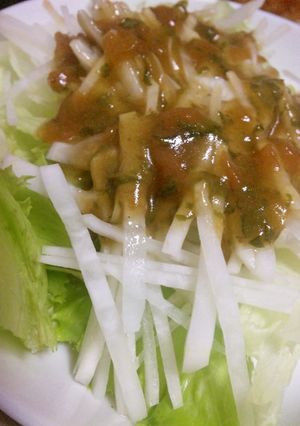 万能梅ドレッシング-レシピのメイン写真