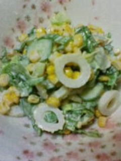即席!野菜たっぷりマヨサラダ☆-レシピのメイン写真
