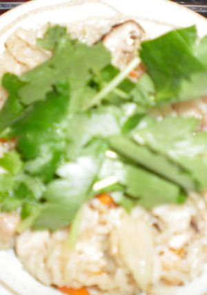 もも肉鶏ごぼう炊き込みご飯-レシピのメイン写真