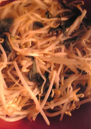 もやしと大葉のポン酢昆布茶和え-レシピのメイン写真