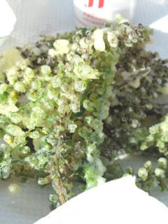 紫蘇の実(花穂)の天ぷら-レシピのメイン写真