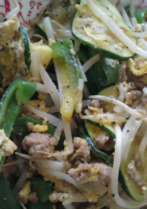 あるもの野菜とひき肉のしょうが風味炒め-レシピのメイン写真