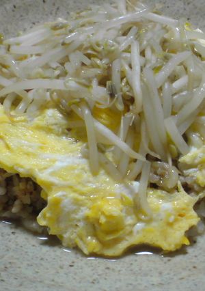豚味噌炒飯オムライス柚子ごしょうあんかけ-レシピのメイン写真