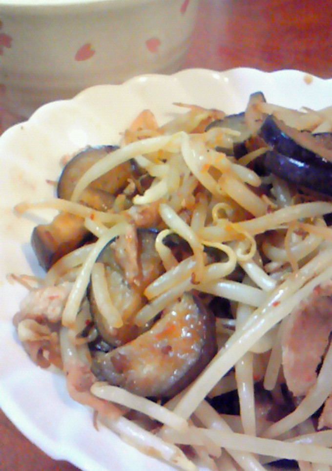 豚肉とナスともやし炒め-レシピのメイン写真