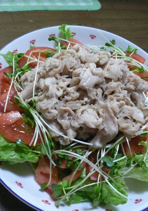 「野菜炒め作り」を使って　☆焼肉サラダ☆-レシピのメイン写真