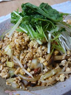 「野菜炒め作り」そぼろ乗っけチャンプルー-レシピのメイン写真