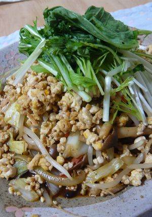 「野菜炒め作り」そぼろ乗っけチャンプルー-レシピのメイン写真