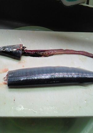 超簡単!きれい!魚の内臓の取り方-レシピのメイン写真