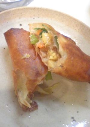 お野菜たぁっぷり♥春巻き-レシピのメイン写真