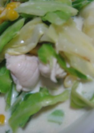 鶏ムネ肉とキャベツのミルクスープ-レシピのメイン写真