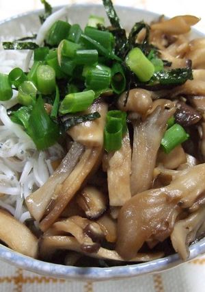 秋の香り　きのことしらすのご飯-レシピのメイン写真