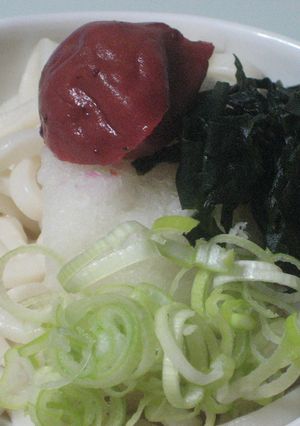 ダシからとったうどん-レシピのメイン写真