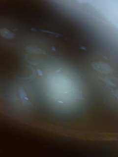 もずくスープ-レシピのメイン写真