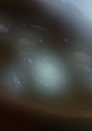もずくスープ-レシピのメイン写真