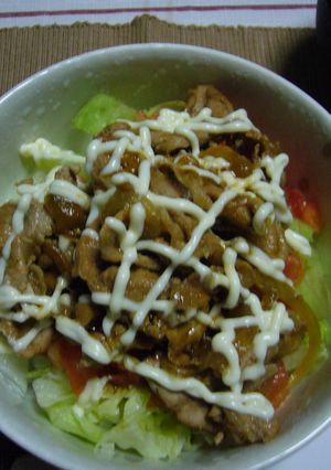 サラダ焼肉丼-レシピのメイン写真
