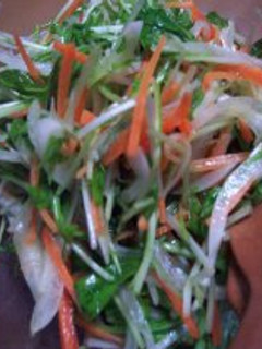 水菜のサラダ-レシピのメイン写真