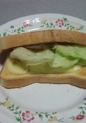 ホットチーズサンド-レシピのメイン写真
