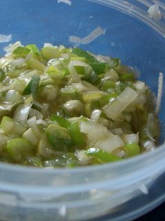 我が家の簡単!ねぎ塩ダレ-レシピのメイン写真