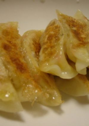 雑穀＆野菜のイタリアン風餃子-レシピのメイン写真