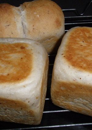 自家製酵母米粉ミニ食パン-レシピのメイン写真