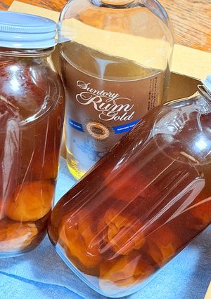 冷凍南高梅〜ラム酒で作る濃厚梅酒-レシピのメイン写真