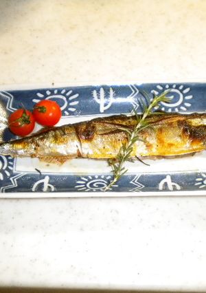 三陸さんまのハーブ焼き-レシピのメイン写真