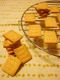 ザックザク!ダイエットクッキーきなこ味-レシピのメイン写真