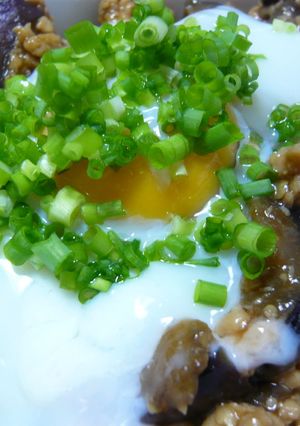 鶏ひき肉となすの甘辛☆温たま丼-レシピのメイン写真