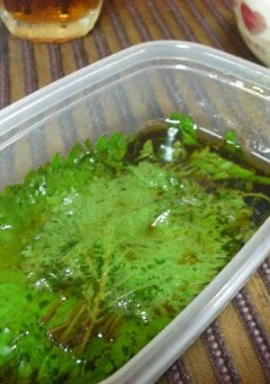 ■簡単御飯のお供(大葉)■-レシピのメイン写真