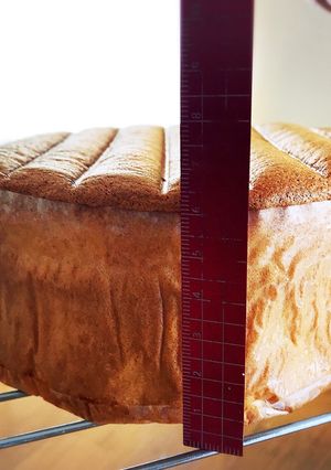 15cmスポンジ生地-レシピのメイン写真