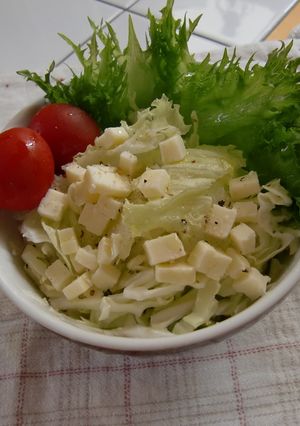スマートチーズDEほろうまサラダ-レシピのメイン写真