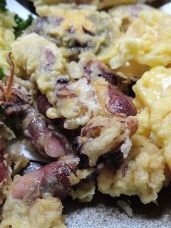 ホタルイカの天麩羅-レシピのメイン写真