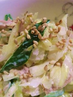 おいし~い✿キャベツとツナサラダ♡♡-レシピのメイン写真
