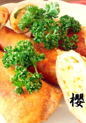残り物カレーで春巻き♫~おまけ付き~-レシピのメイン写真